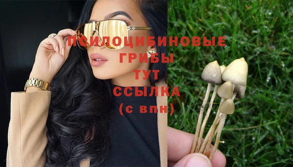 прущий лед Алексин