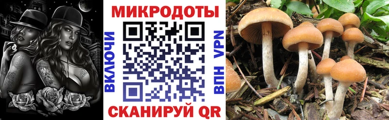blacksprut ссылки  Первоуральск  Галлюциногенные грибы мицелий  закладка 