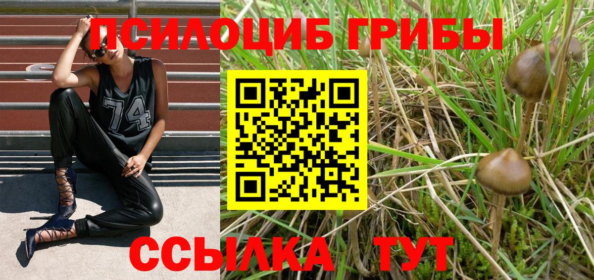 Псилоцибиновые грибы GOLDEN TEACHER Первоуральск
